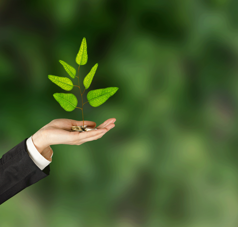 Programme d'affiliation Vivre Naturellement Dr Clark