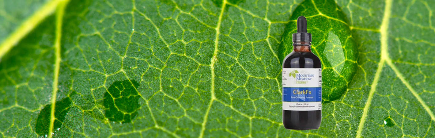 Teintures de plantes Dr Clark